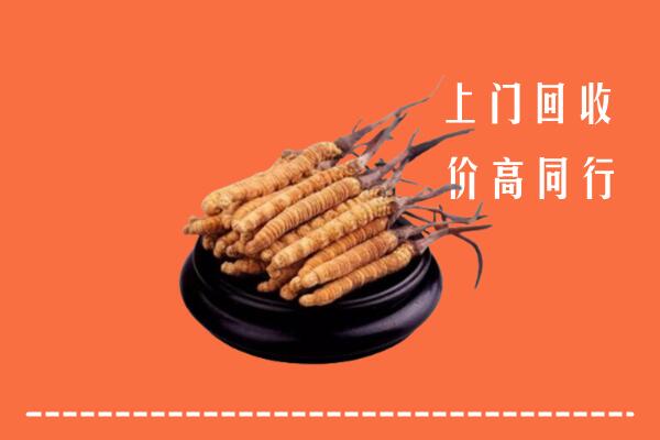 高价求购：易县回收散虫草